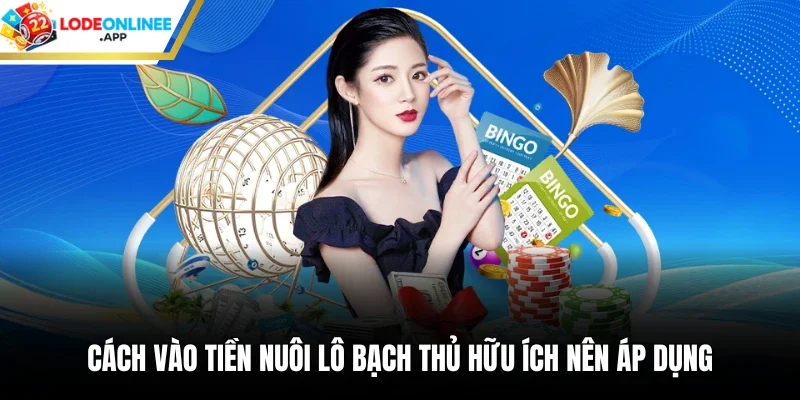Cách vào tiền nuôi lô bạch thủ