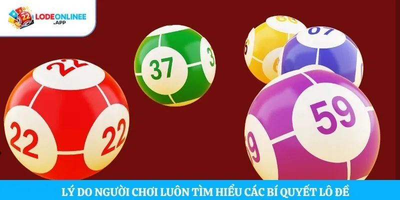 Lý do người chơi luôn tìm hiểu các bí quyết lô đề