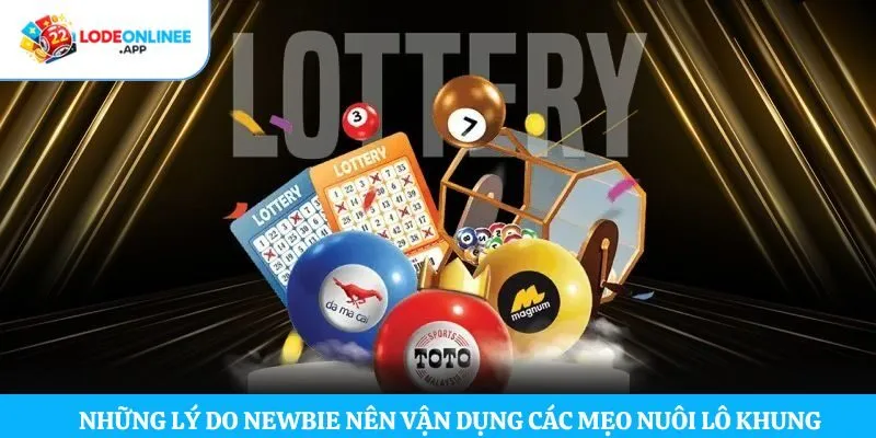 Những lý do newbie nên vận dụng các mẹo nuôi lô khung